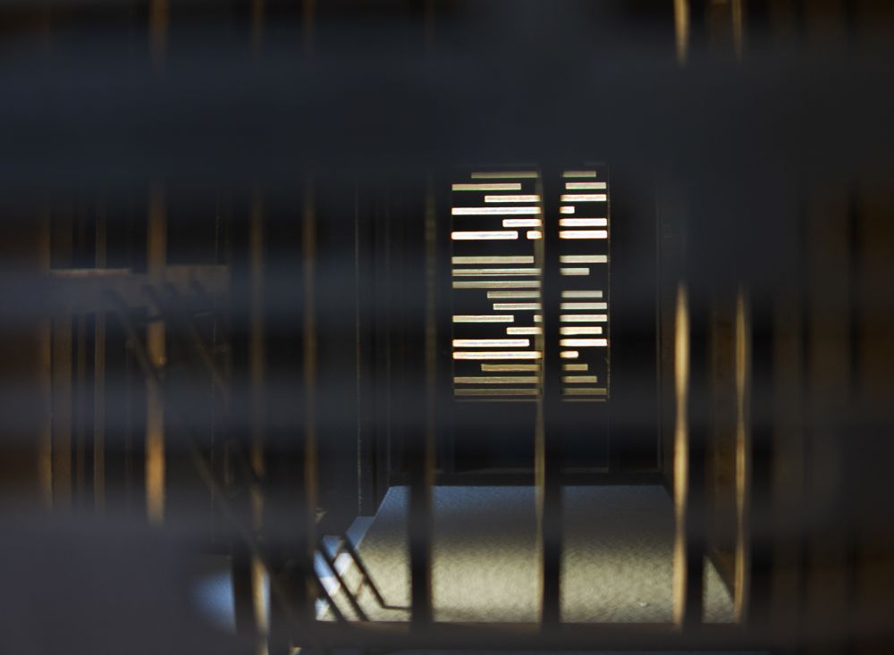 Hochschule Mainz, Ravan, Bachelor Konstruktives Projekt Gartenhaus von Benedikt Bühler und Annabel Aichele, Konstruktion